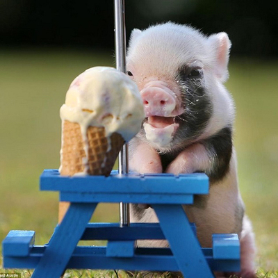 Timeline: Delani's life