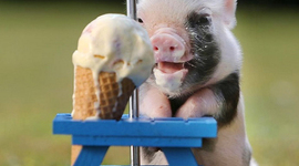 Timeline: Delani's life