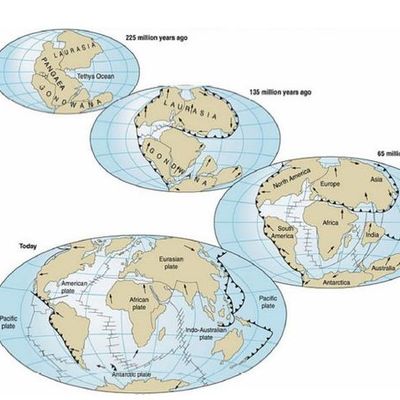 Timeline: Teorías geológicas