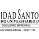 Logo consultorio empresarial (2018)