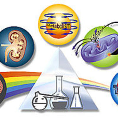 Timeline: Historia de la Farmacología.