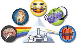 Timeline: Historia de la Farmacología.