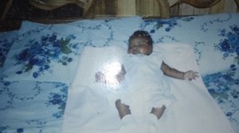 Timeline: evolucion del exito