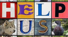 Timeline: Animales Extintos