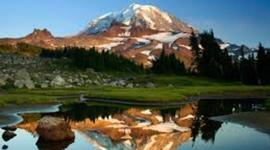 Timeline: Antecedentes de la Psicología Ambiental