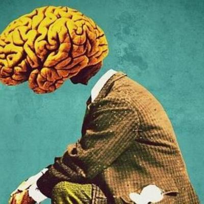 Timeline: Breve historia del cerebro.