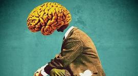 Timeline: Breve historia del cerebro.