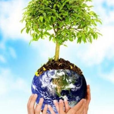 Timeline: Cumbres, foros, conferencias y convenios sobre el Desarrollo Sustentable.