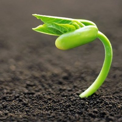 Timeline: Evolución científica hasta la tectónica de placas