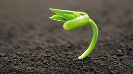 Timeline: Evolución científica hasta la tectónica de placas