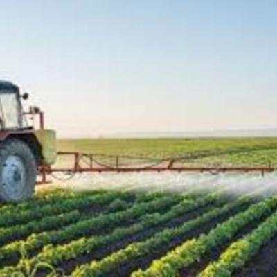 Timeline: Ser... ahir i avui