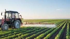 Timeline: Ser... ahir i avui