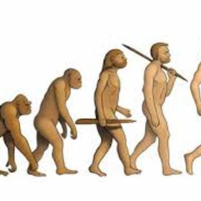 Timeline: EVOLUCION DEL HOMBRE