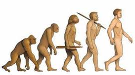 Timeline: EVOLUCION DEL HOMBRE