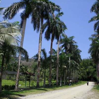 Timeline: Parque Botánico Lancetilla