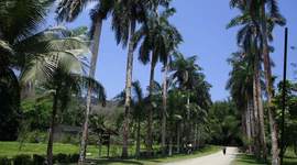 Timeline: Parque Botánico Lancetilla