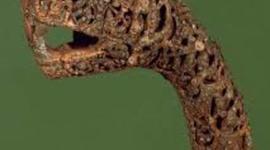 Timeline: Norsk middelalder