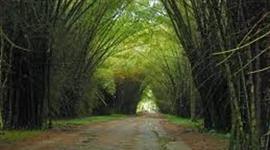 Timeline: Parque Botánico Lancetilla.
