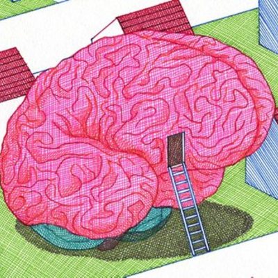 Timeline: Le développement sensoriel et moteur du cerveau