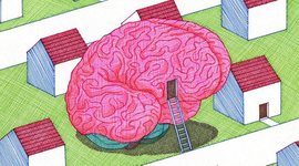 Timeline: Le développement sensoriel et moteur du cerveau