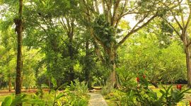 Timeline: Parque Botánico Lancetilla