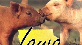 Timeline: Vivir La Vida Loca