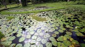 Timeline: Jardín Botánico Lancetilla