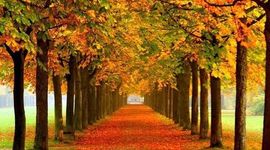 Timeline: Evolución de la Web 1.0 a la Web 3.0