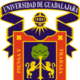 200px escudo udeg.svg