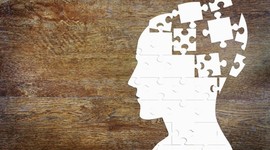 Timeline: Evolution of Andragogy vs. Pedagogy