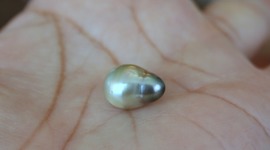 Timeline: el  siglo barroco