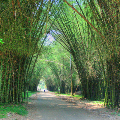 Timeline: LINEA DE TIEMPO LANCETILLA