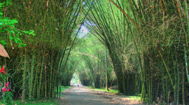 Timeline: LINEA DE TIEMPO LANCETILLA