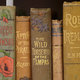 English literature