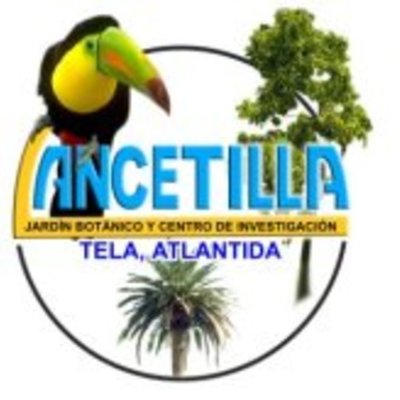 Timeline: Parque Botanico Lancetilla