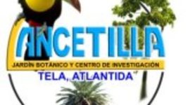 Timeline: Parque Botanico Lancetilla