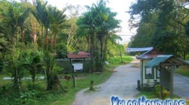 Timeline: Parque Botánico Lancetilla