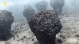 Timeline: estromatolitos