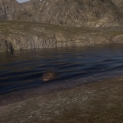 Timeline: fauna de la explosión cámbrica