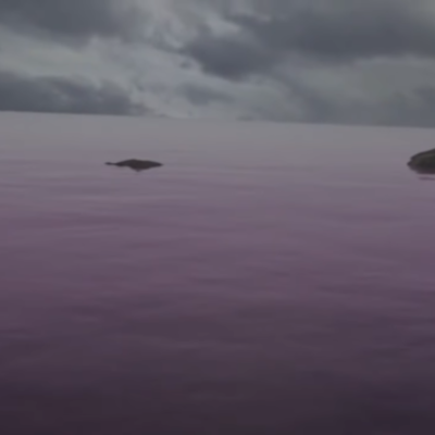 Timeline: oceano rosa