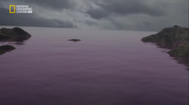 Timeline: oceano rosa