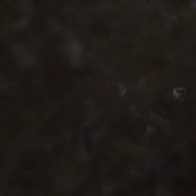 Timeline: origen de la humanidad