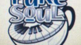 Timeline: Pure Soul Promotional Plan - AJ Makinen