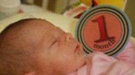 Timeline: Baby's First Year - Elektra Cavazos