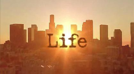 Timeline: Miguel's life