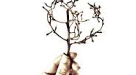 Timeline: Pedro páramo