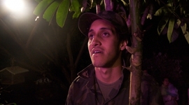 Timeline: EL VERANO DE GOLIAT