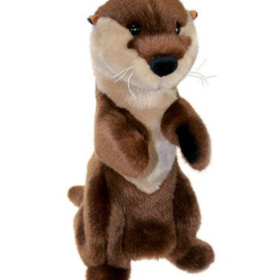 Timeline: Microscope Timeline