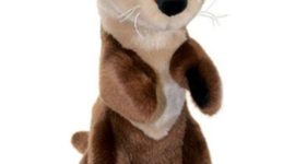 Timeline: Microscope Timeline