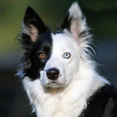 Timeline: Andrea Gonzalez Fontes